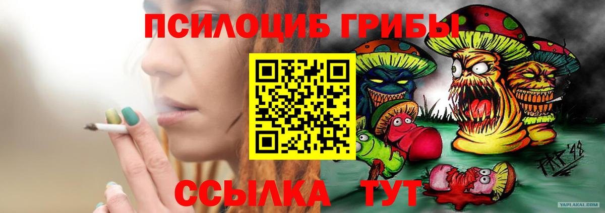Галлюциногенные грибы Psilocybine cubensis  Вход с VPN  Гусев 
